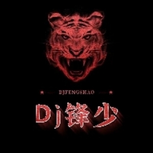 廉江DJ锋少头像